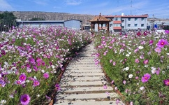 女人公敌3高清完整版